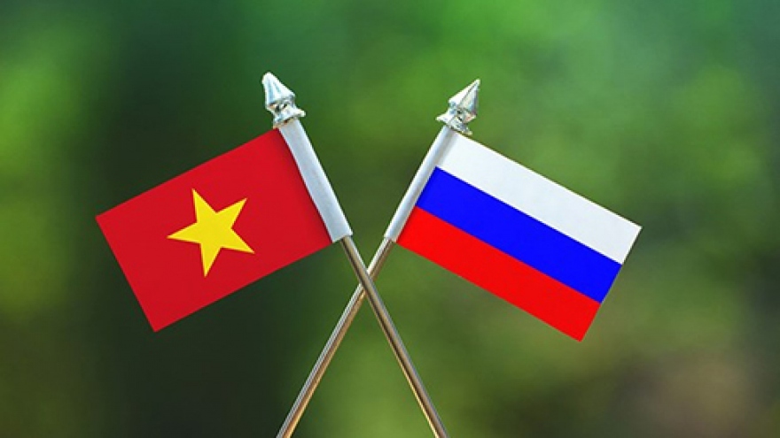 Significant milestones in Vietnam-Russia relations